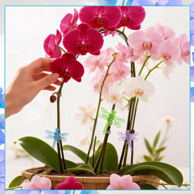 GGSTDDUP orchid clips dragonfly design secure plant spikes with ease.