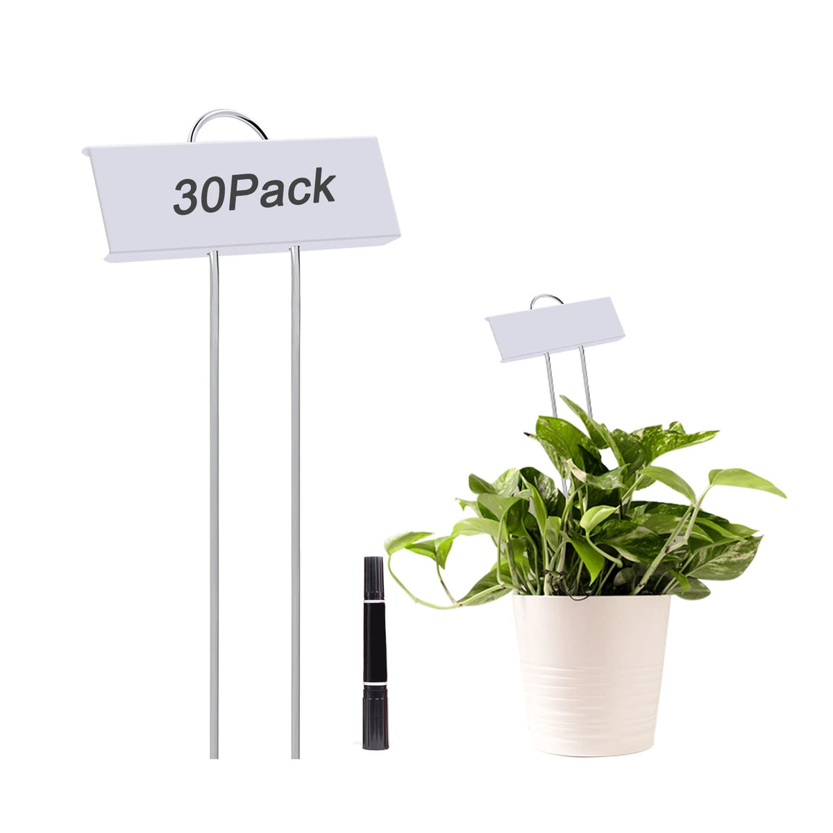 GHAMYEE stainless steel plant label for outdoor garden with durable, weather-resistant surface.