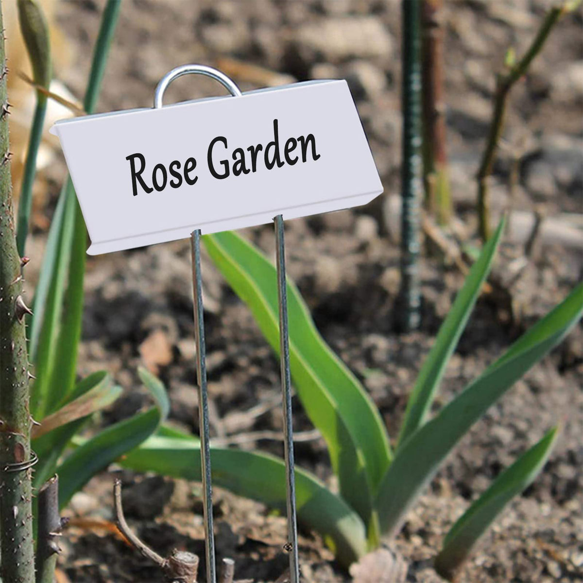 GHAMYEE markers suit flowers, herbs, vegetables, and shrubs for organized garden beds.