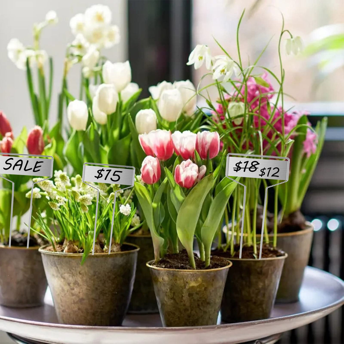 GHAMYEE markers suitable for seedlings, herbs, vegetables, and flowers.