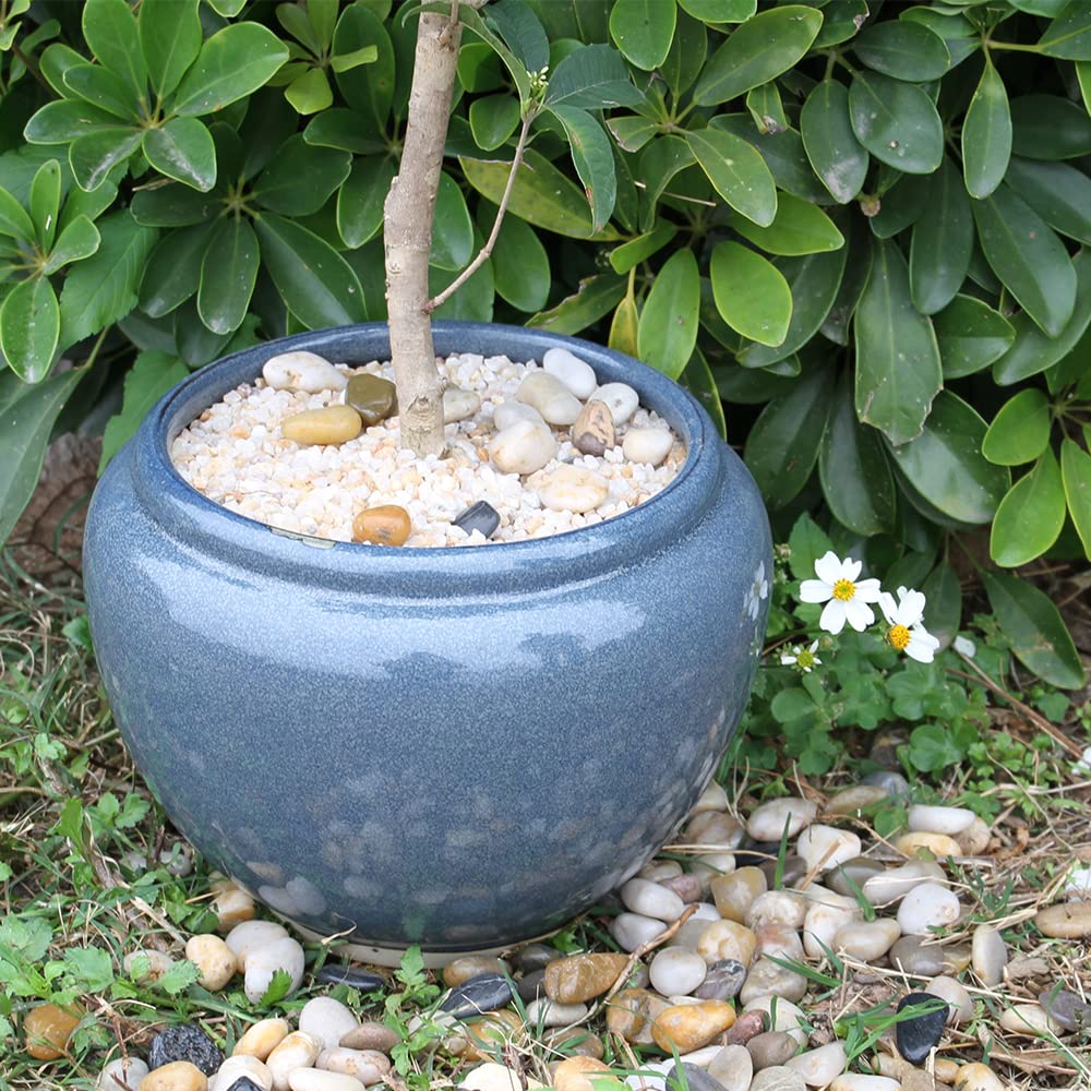 GHYTMTHOT 12lb coarse sand terrarium scene enhances aesthetics and moisture.
