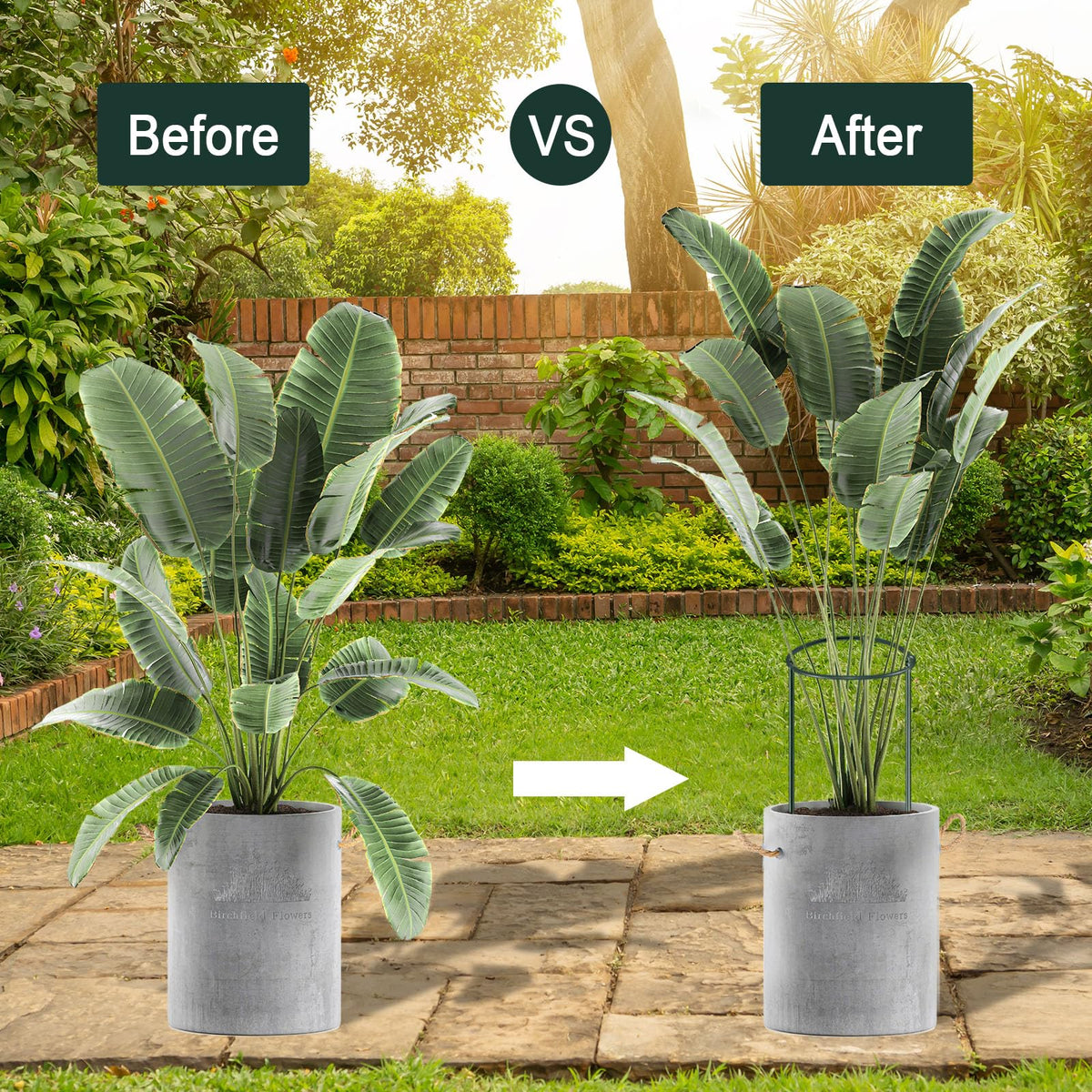 Gicare border-use stake keeps paths open while supporting plants.