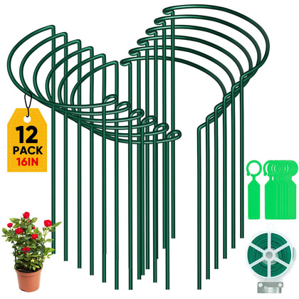 Gicare peony cage around a plant with sturdy half-round support.