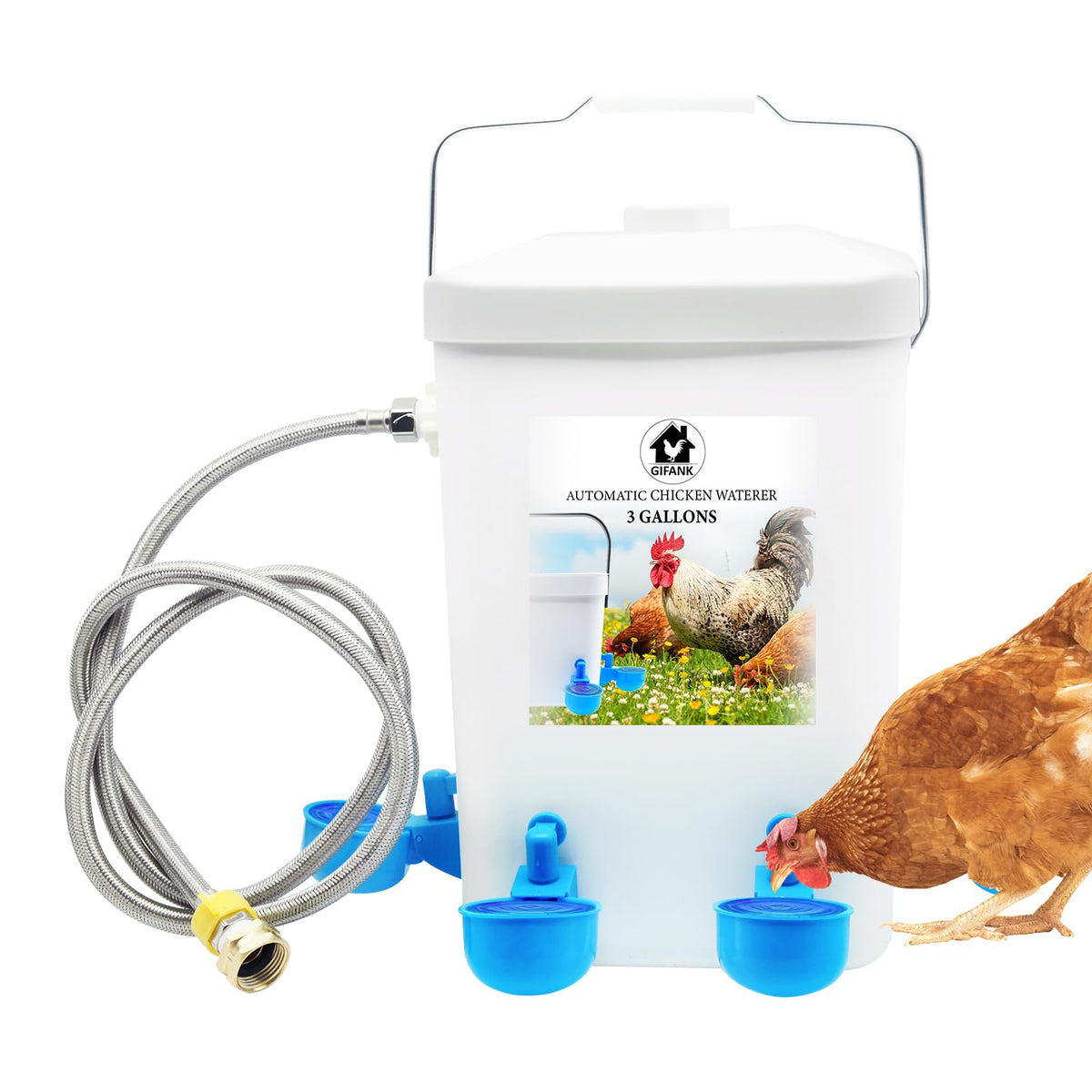 GIFANK automatic chicken waterer 3gal assembly ensures steady hydration for flocks.