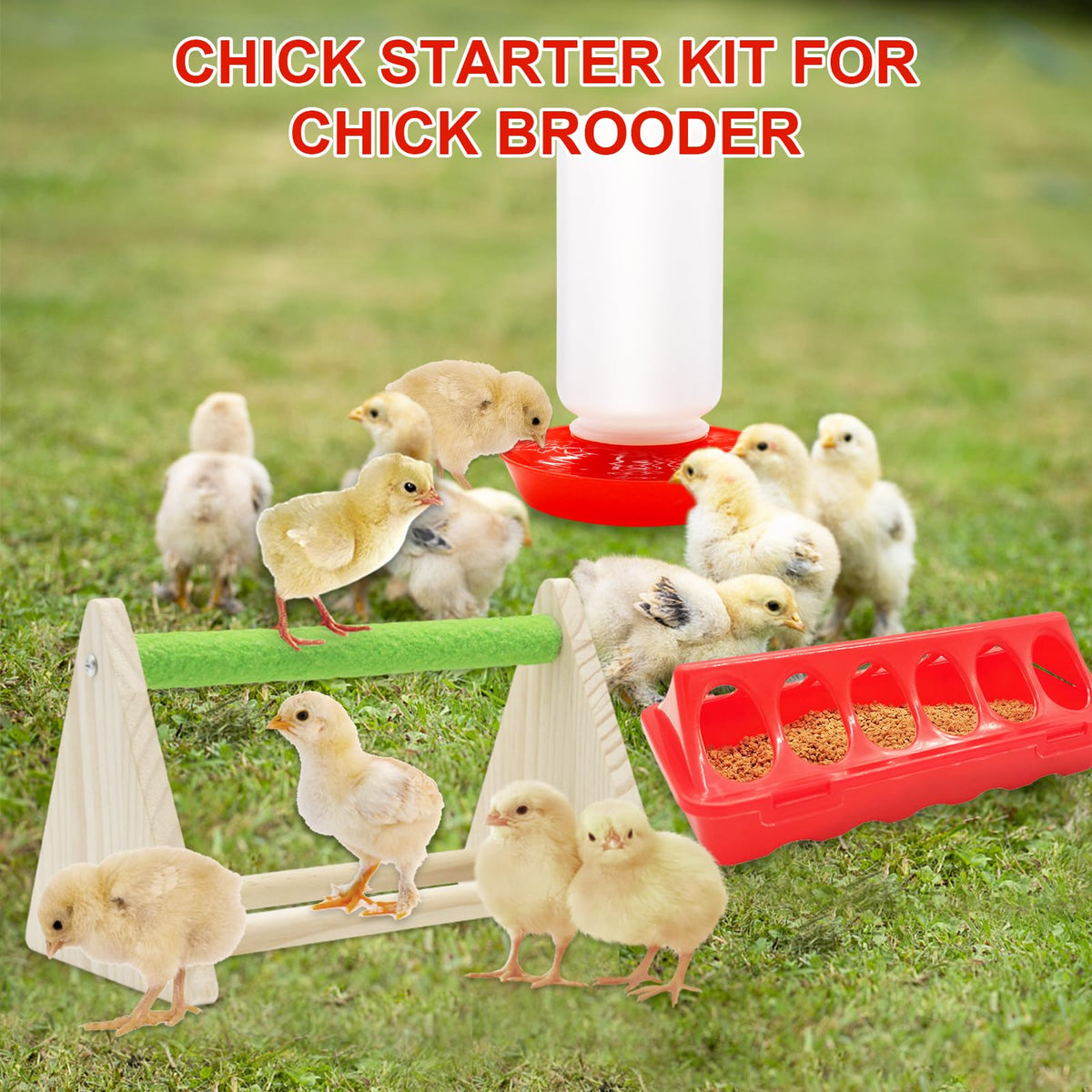 GIFANK brooder setup shows how components fit into a neat, tidy space