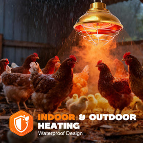 GIFANK carbon fiber heat lamp close-up emphasizes durable infrared warmth for small animals.