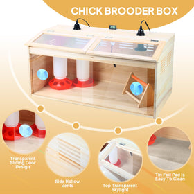 GIFANK Chick Brooder Box 75W heat lamp provides cozy warmth.