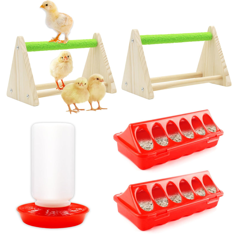 GIFANK chick feeder front view showing multi-hole design for efficient feeding
