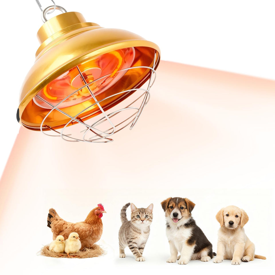 GIFANK Chicken Heat Lamp 350W image highlights cozy infrared warmth for cold coop nights.