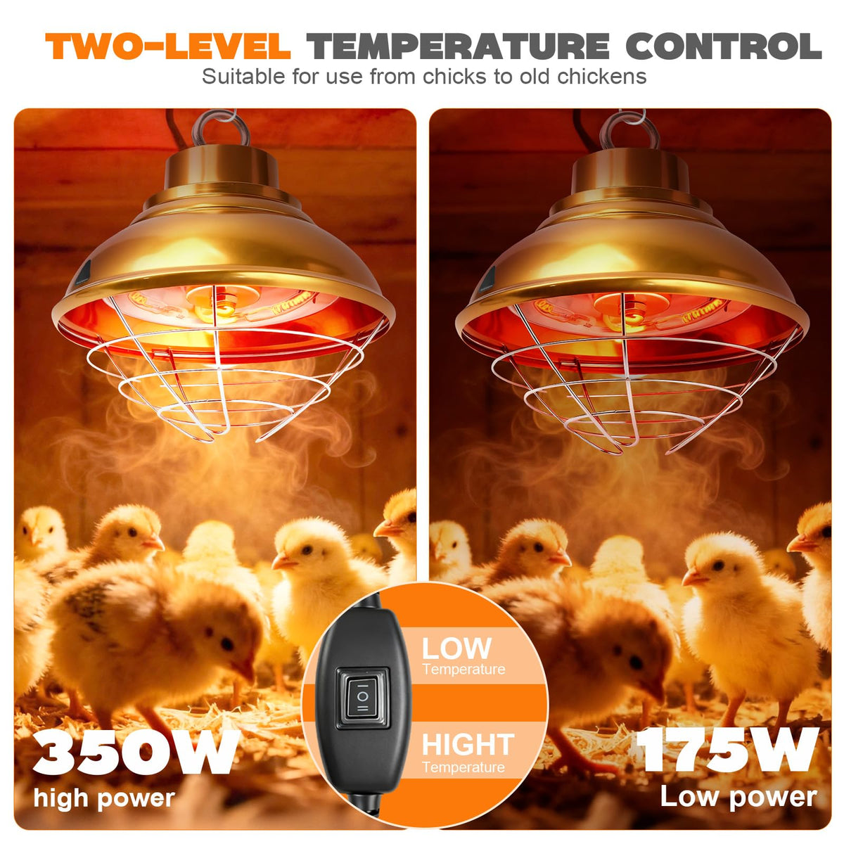 GIFANK heat lamp with flame-retardant shell demonstrates safe, steady warmth without harsh light.