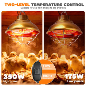 GIFANK heat lamp with flame-retardant shell demonstrates safe, steady warmth without harsh light.