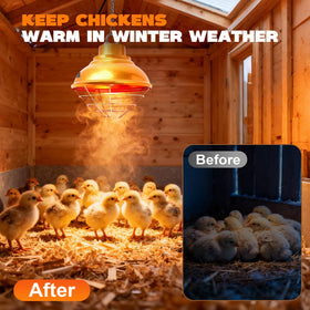 GIFANK small animal warmth brooder illustrates versatile warmth for puppies and kittens.