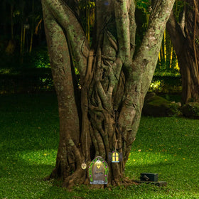 Gift Boutique solar LED light illuminates the display at dusk.