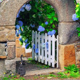 Gift Boutique yard elephant sculpture enhances flower beds and walkways
