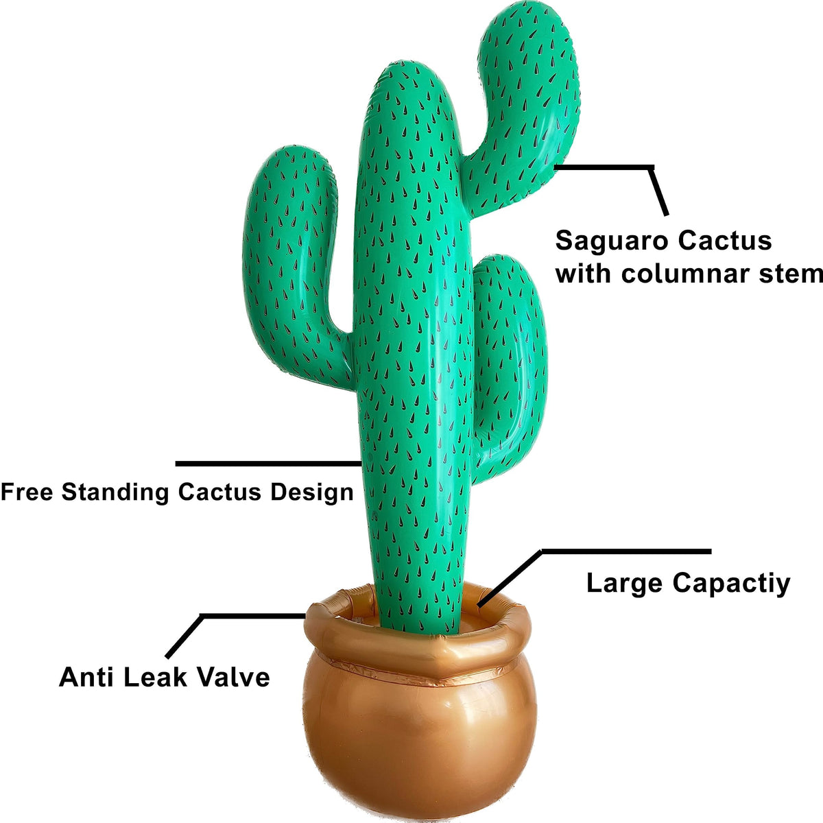 GiftExpress Cinco de Mayo desert theme decor for festive spaces