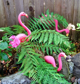 GiftExpress flamingos with embossed feather pattern, realistic look for garden decor.