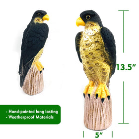 GiftExpress lifelike hawk decoy with hand-painted color enhances realism in outdoor deterrence.