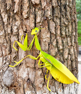 GIFTME 5 garden mantis yard art displayed on a fence for curb appeal