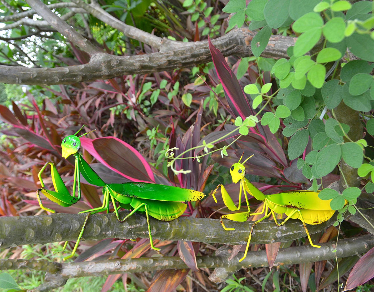 GIFTME 5 outdoor mantis wall decor attached to a wall for yard charm