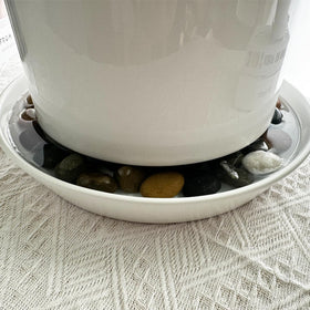 GIKUPOM suitable for indoor and outdoor planters.