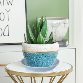 GIKUPOM non-porous glaze reduces moisture absorption.