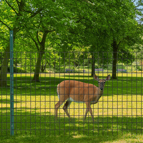 GILPWA dog yard boundary fence around the lawn