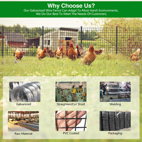 GILPWA poultry-enclosure setup shows versatile fence for small animals and pets.