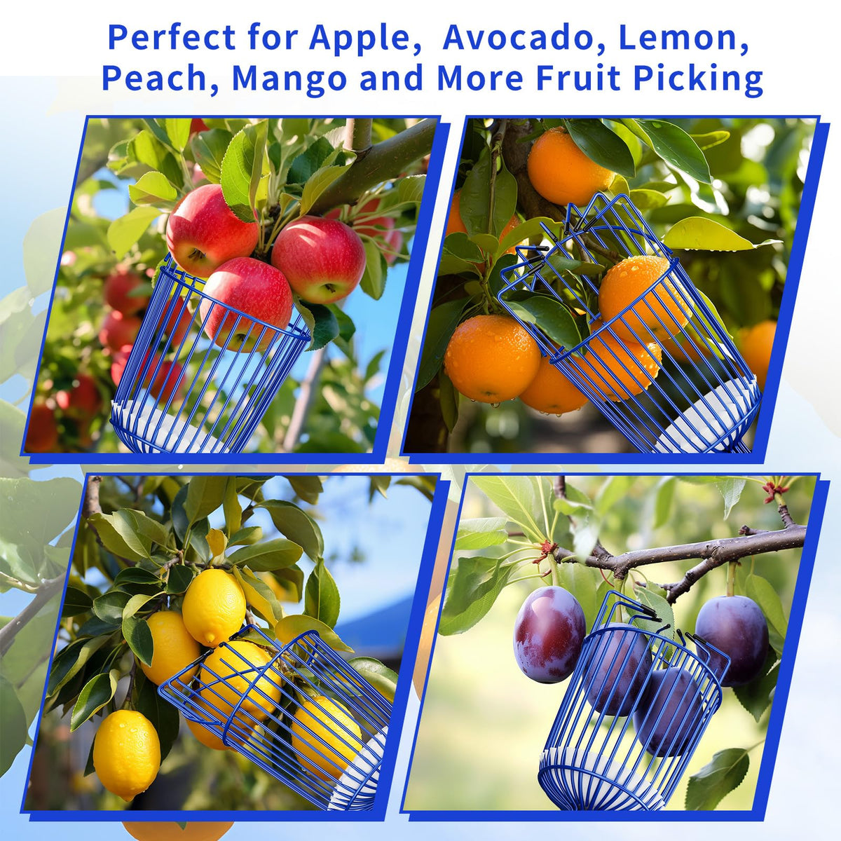 Ginbel Direct easy-assembly design for quick setup and use