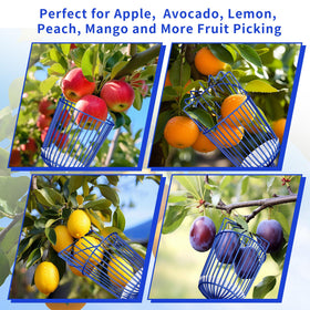 Ginbel Direct easy-assembly design for quick setup and use
