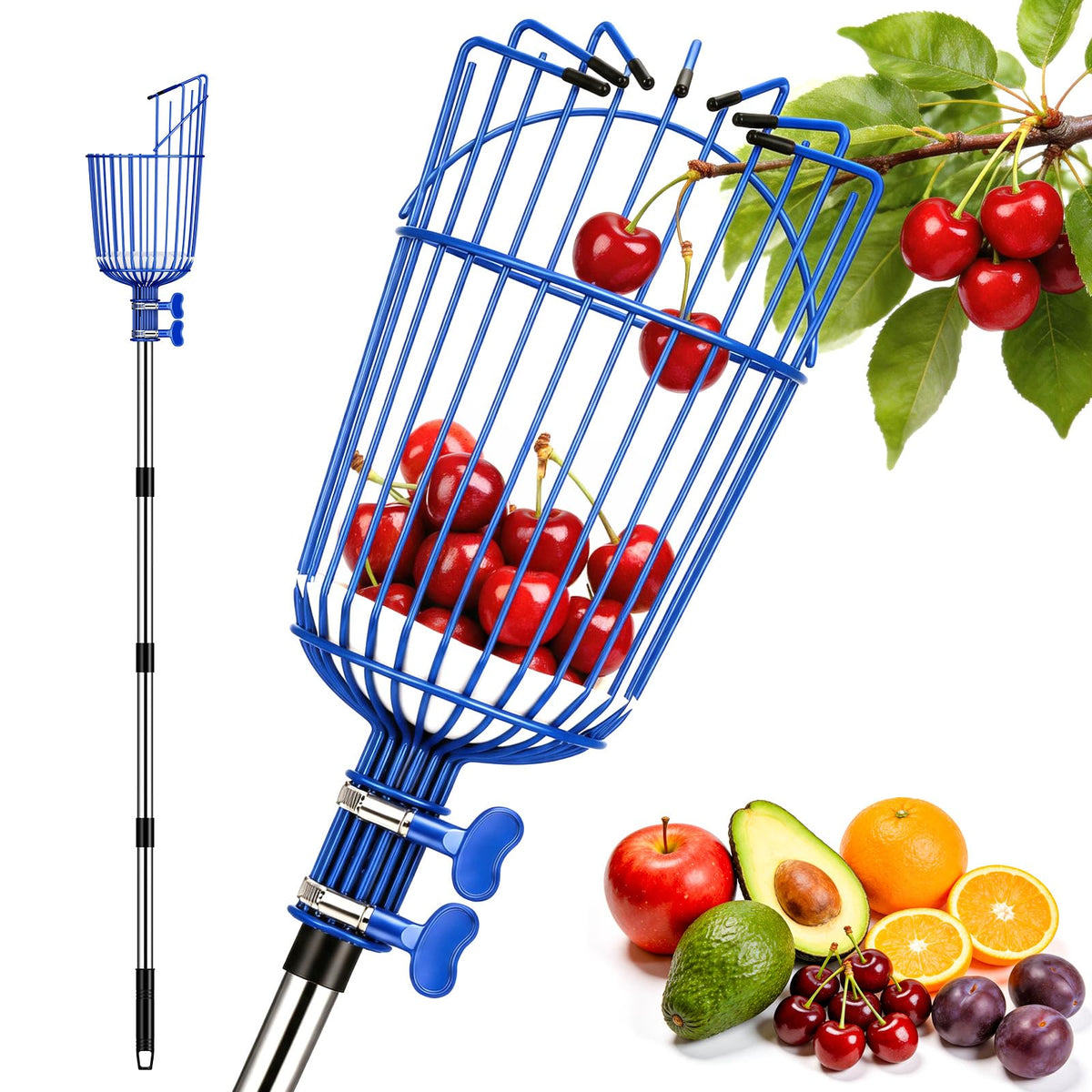 Ginbel Direct fruit picker pole with extended reach for tall-tree harvesting