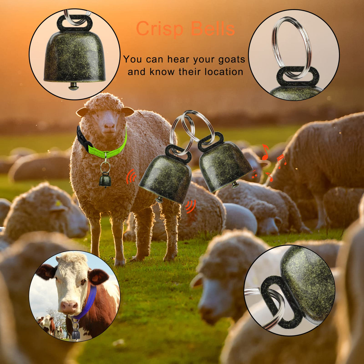GINDOOR durable nylon collar suitable for everyday farm use