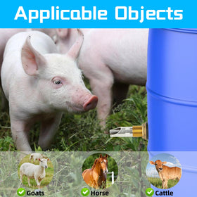 GINDOOR pig and goat use case with clean water flow