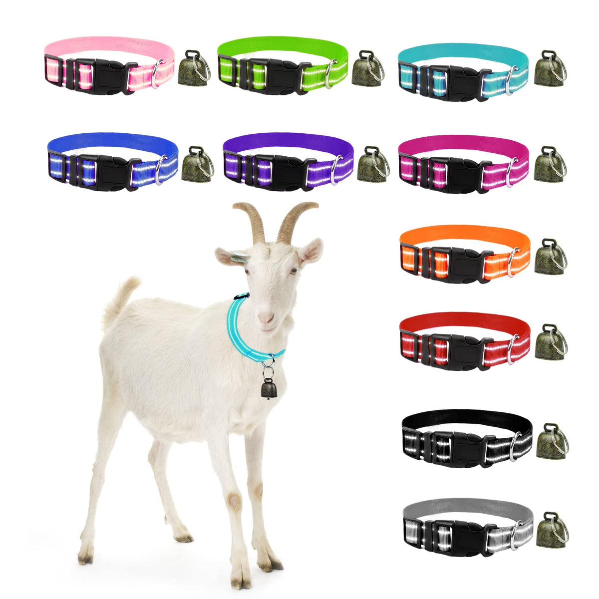 GINDOOR reflective goat collar enhances night visibility for easy animal location