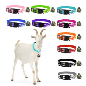 GINDOOR reflective goat collar enhances night visibility for easy animal location