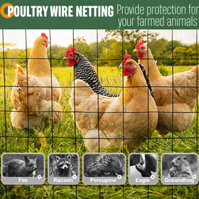 Gisafai versatile fencing suits chicken coops, dog runs, and garden borders.