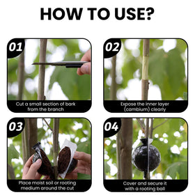 GISSAN air layering pod kit in use on roses shows practical propagation setup.