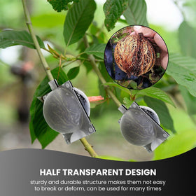GISSAN air layering pod medium root monitoring through translucent shell aids observation.