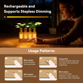 Giunn Beech wood base Propagation Station showcases natural texture while stabilizing four tubes.