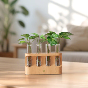 Giunn Gift-ready Propagation Station adds a thoughtful present for plant lovers.