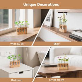 Giunn Removable Glass Tubes simplify cleaning and swapping plants.
