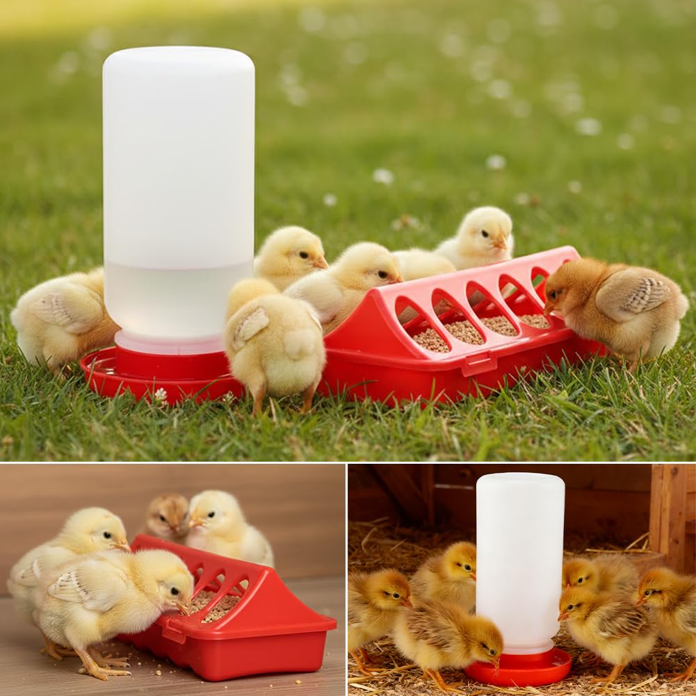 Giyochie 12-hole feeder focuses on reducing waste and quick feeding for healthy chicks.