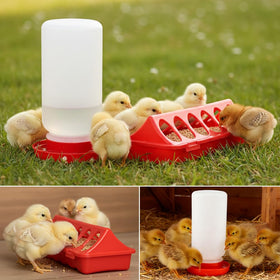 Giyochie 12-hole feeder focuses on reducing waste and quick feeding for healthy chicks.