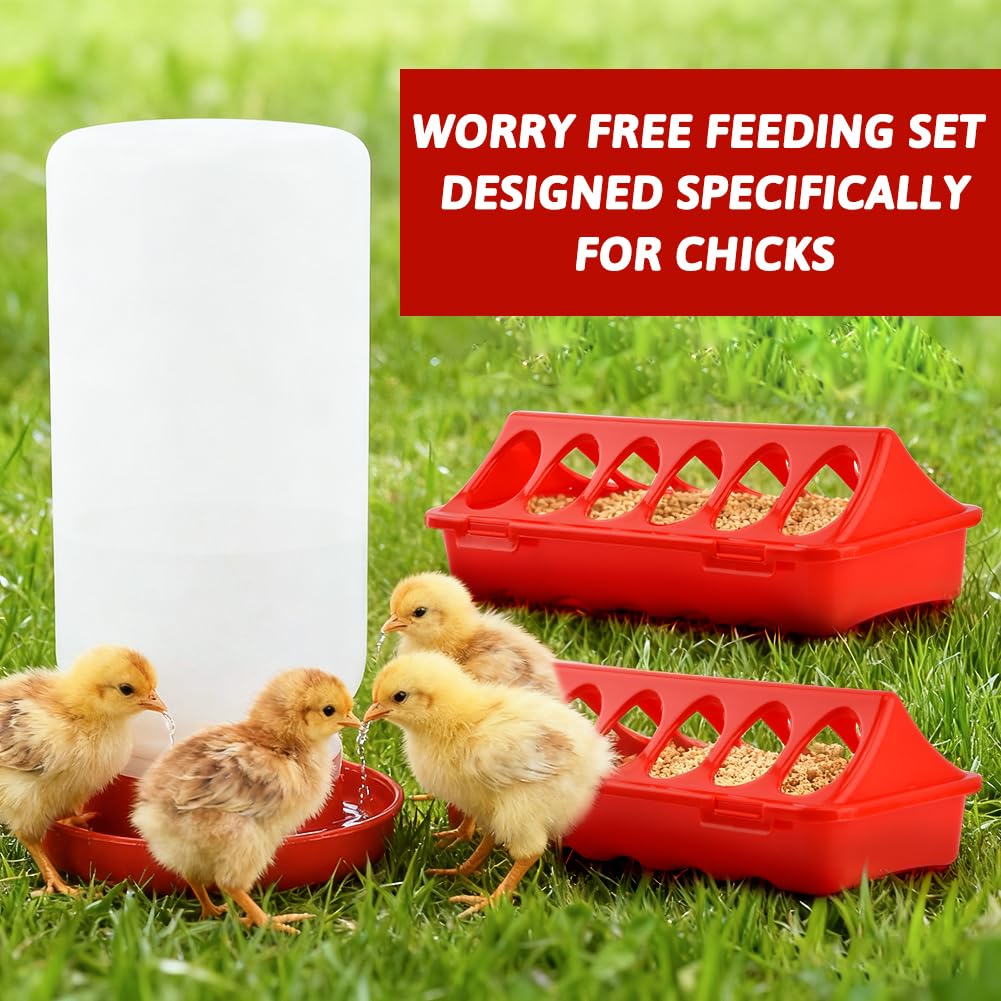 Giyochie red color option adds visibility and easy coordination in brooders.
