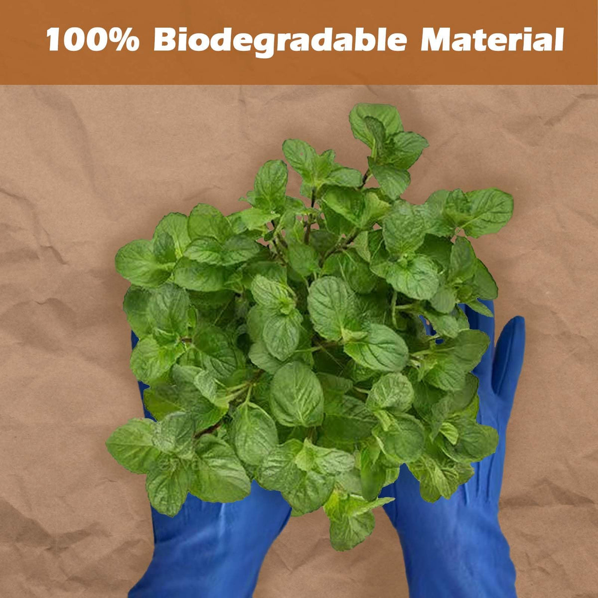 GJKLDCVB zero plastic garden barrier supports sustainable gardening.