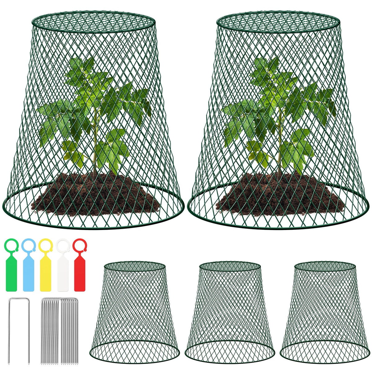 GJQ 5-pack garden cloches protect seedlings while allowing air and light