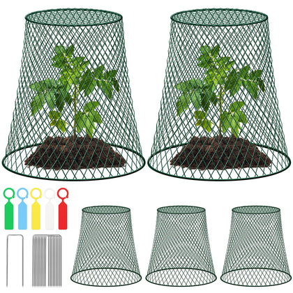 GJQ 5-pack garden cloches protect seedlings while allowing air and light