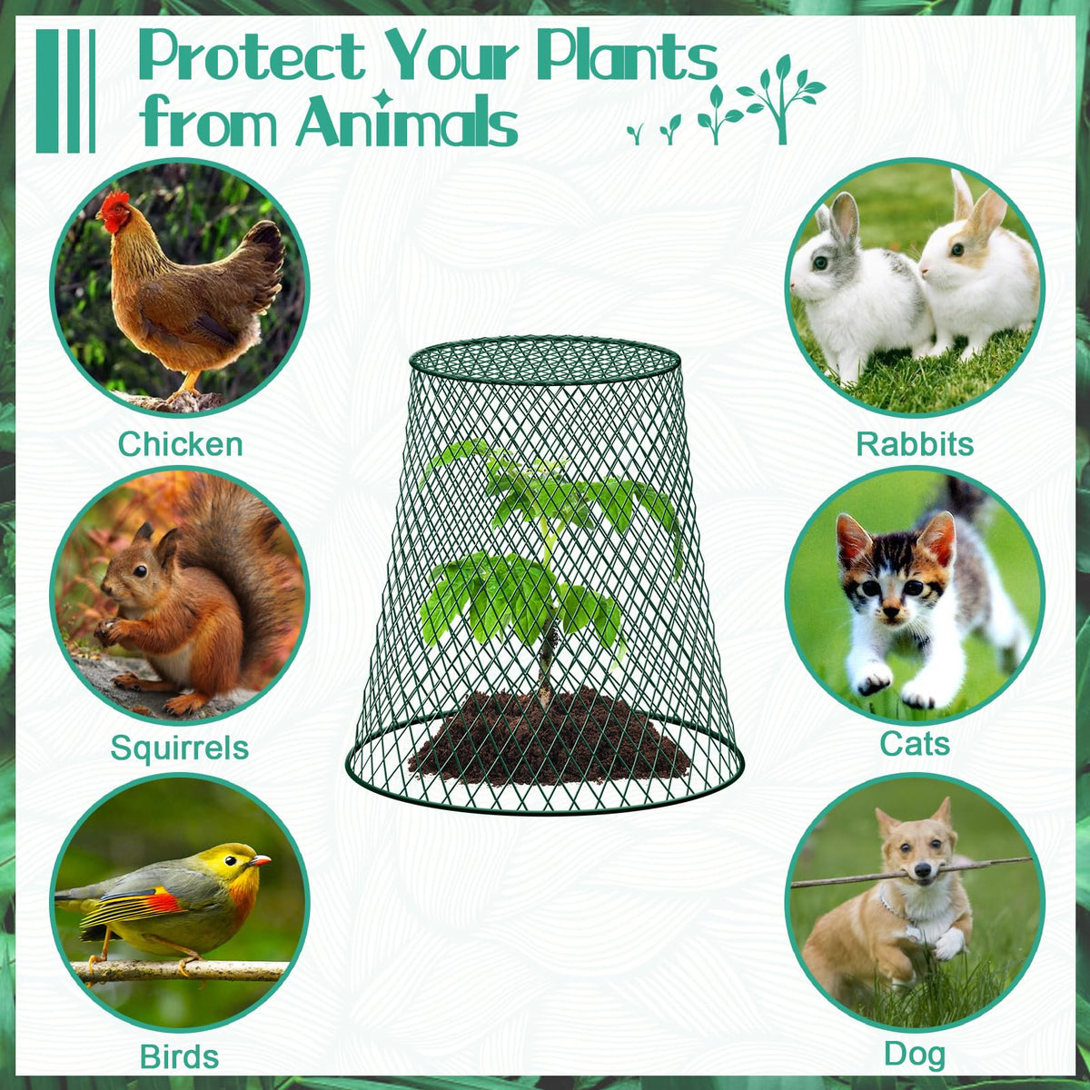 GJQ PVC-coated metal cloche resists rust for outdoor use