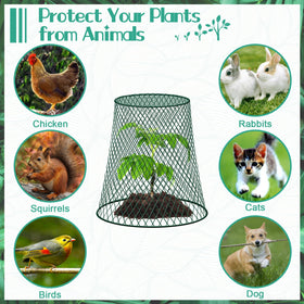 GJQ PVC-coated metal cloche resists rust for outdoor use