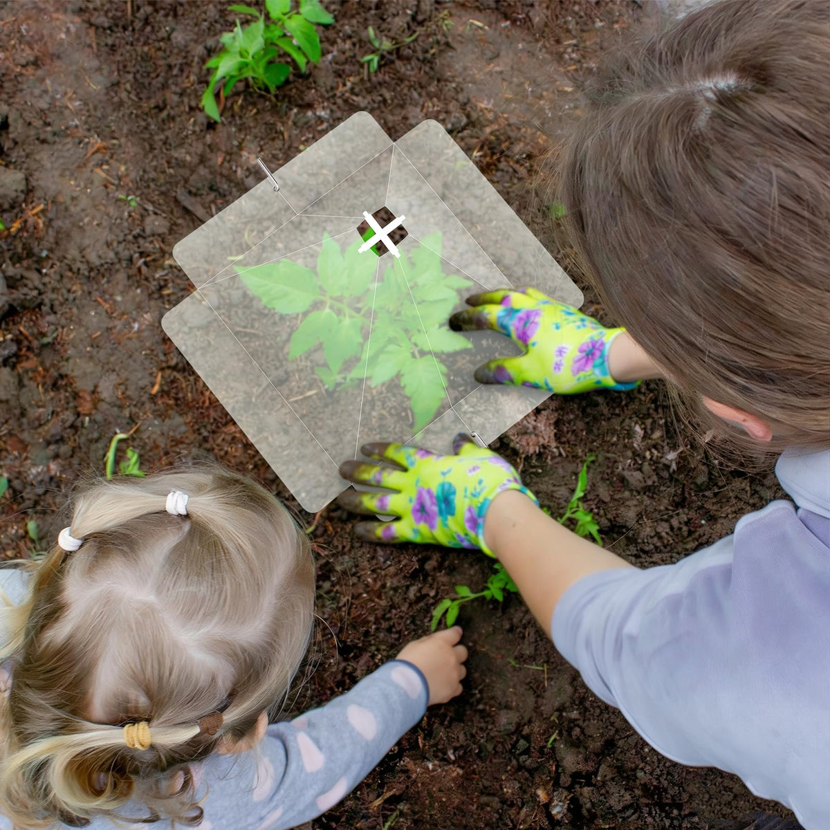 GJQ seedling protection in spring reduces exposure to pests.