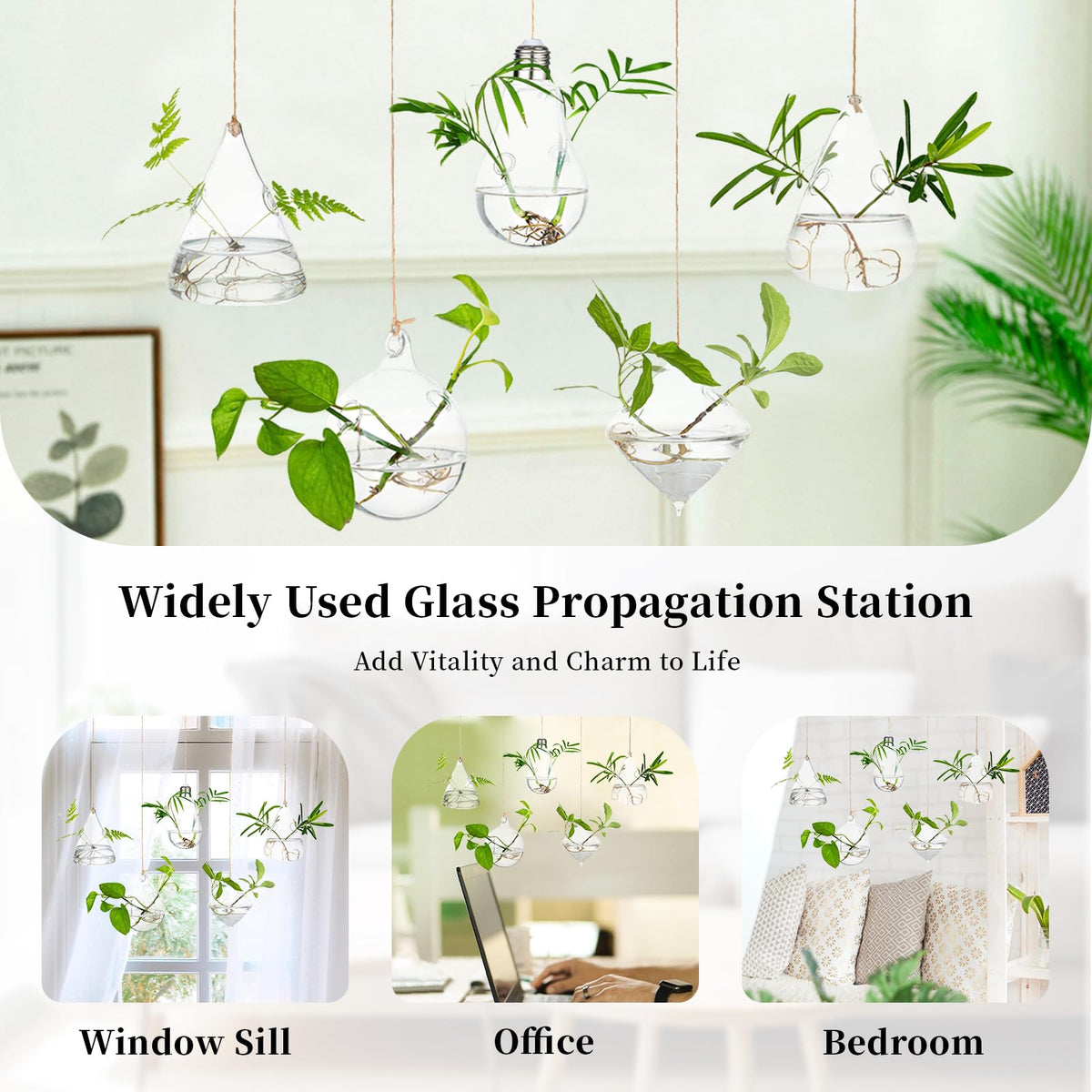 Glasseam DIY themed propagation party setup inspires plant display ideas